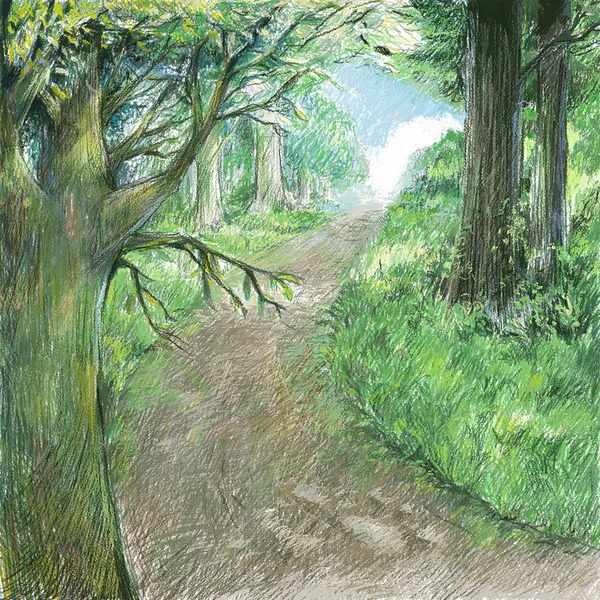 Nature landscape art color drawing illustration.Natural pathway with forest.Beautiful scene wild.Country road concept