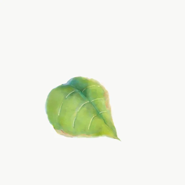 Green Leaf Painting Isolated White Background — Zdjęcie stockowe