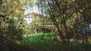 Doğa ile eski ev. evler ve çevre. Sonbahar Vintage ev tropikal orman