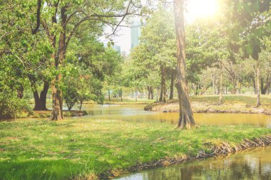 Göl ve ağaçlar arka plan ile kamu parkta yeşil ahşap tezgah. Şehir ve gökyüzü arka planda Park. Doğa manzarası ile yaz