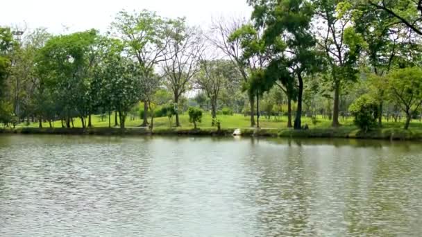 市内の木々 川と空の背景を持つ公共の公園 ある朝 市内の美しい緑の公園 夏のHdビデオでフレアと自然のシーン — ストック動画