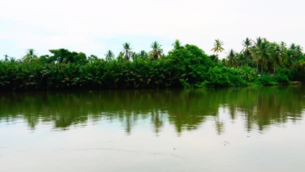农村河流流与森林海岸4K视频 乡村湖泊自然景观 — 图库视频影像