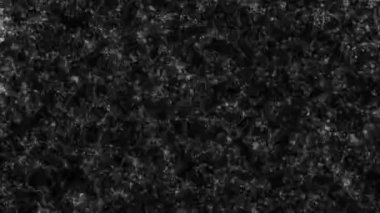 Video üzerinde çarpma veya ekran filtresi eklemek için soyut siyah ve beyaz fraktal gürültü dokusu arka plan tasarımı. Grunge doku sanatı.