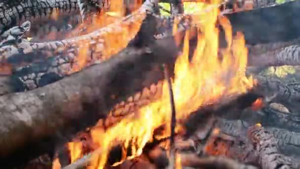 Horký Oheň Spalovat Dřevo Uhlím Zářící Plamen Větve Zemi — Stock video