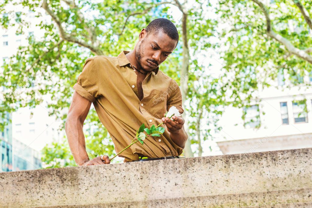 Young African American Man with beard missing you, thinking about you in New York, wearing green short sleeve shirt, standing over top of wall in Manhattan, holding white rose, looking down, thinking