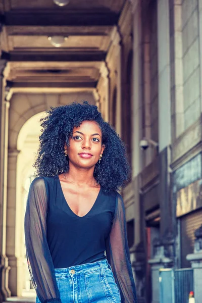 Afro Saç Modeli Genç Afrikalı Amerikalı Kadın Üniversite Öğrencisi Kafes — Stok fotoğraf