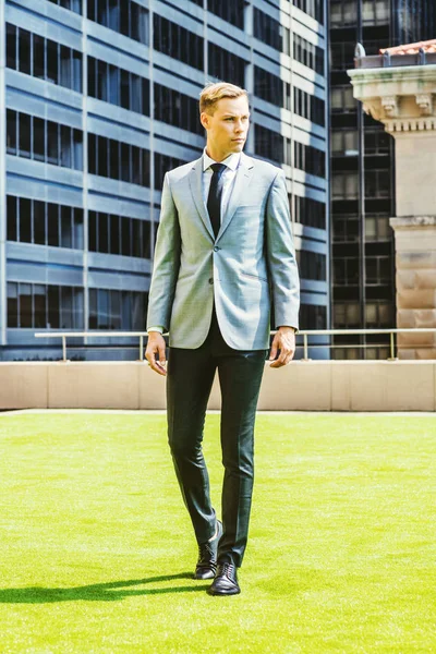 Louis Slim Fit High Quality Blue & Gray Blazer | BOJONI