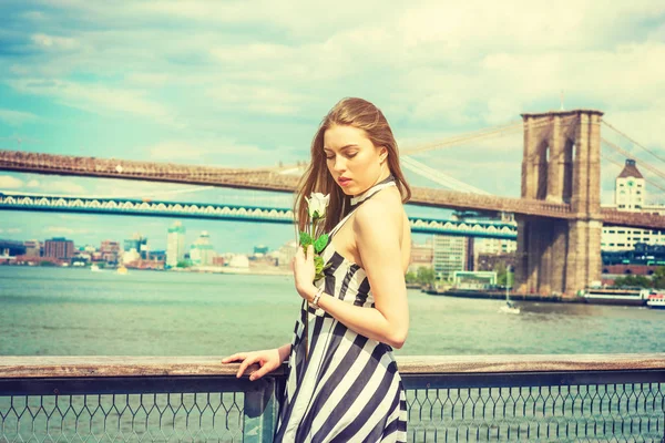 Young Beautiful Woman missing you, holding white rose, wearing black, white striped dress, standing by river in New York, looking down, sad, thinking. Manhattan, Brooklyn bridges on background