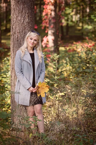 Young Blonde Woman Walking Forest Sunny Autumn Day — Stock Photo, Image