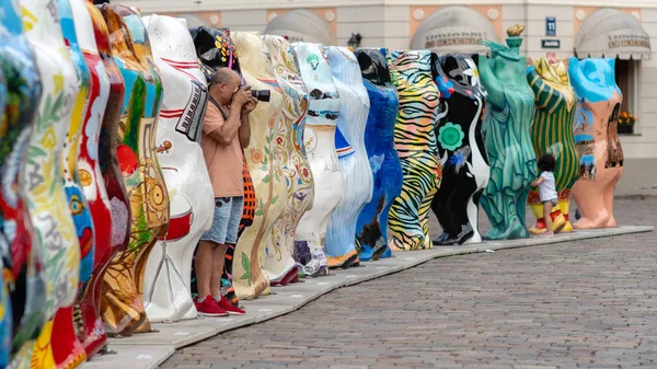 Riga, Letonya - 26 Temmuz 2018: United dostum ayı sergi. Sergi performansını bir adam ile bir fotoğraf makinesi fotoğraf arşivi.