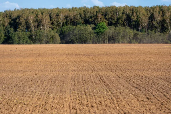 Orman içinde belgili tanımlık geçmiş olan sürülmüş alana.