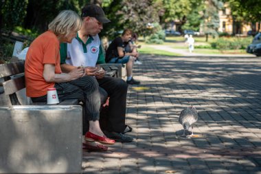 Riga, Letonya - 31 Temmuz 2018: Birkaç büyük insanlar şehir parkta bir bankta oturan ve martı besleme.