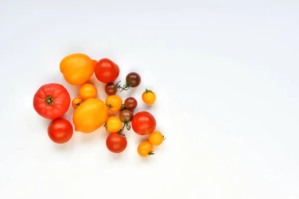 Cosecha Otoño Tomates Rojos Amarillos Sobre Fondo Blanco —  Fotos de Stock