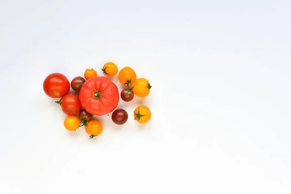 Cosecha Otoño Tomates Rojos Amarillos Sobre Fondo Blanco —  Fotos de Stock
