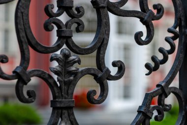 Metalden yapılmış dekoratif avlu kapıları.