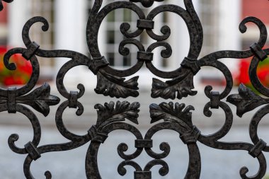 Metalden yapılmış dekoratif avlu kapıları.