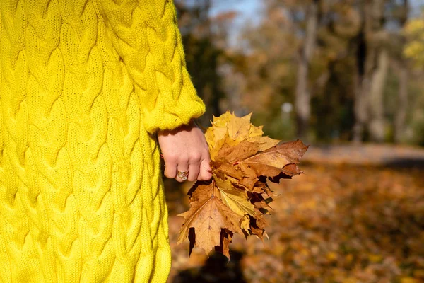 Młody Piękny Blondynka Kobieta Idąc Przez Jesień Park Radować Się — Zdjęcie stockowe