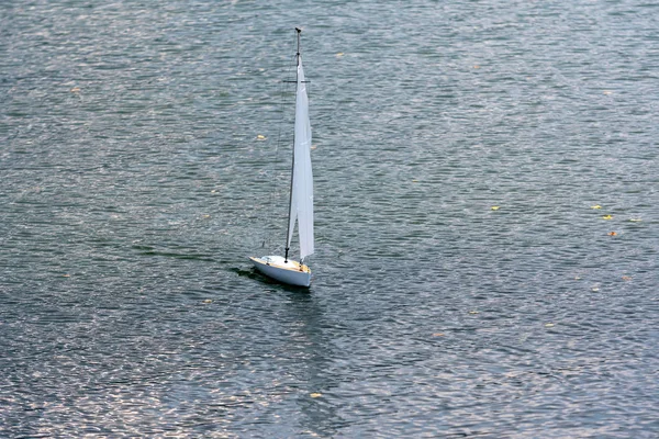 Biały Żeglarstwo Jacht Model Pływające Jeziorze — Zdjęcie stockowe