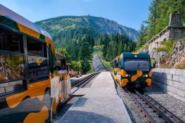 Puchberg, Avusturya, - 9 Ağustos 2018: raf Schneeberg dağ yolunda Salamander adlı Tren İstasyonu