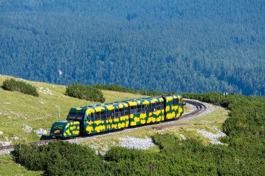 Puchberg, Avusturya, - 9 Ağustos 2018:. Raf Schneeberg dağ, tercih edilen turistik Lower Austria'deki / daki giderken Salamander adlı tren