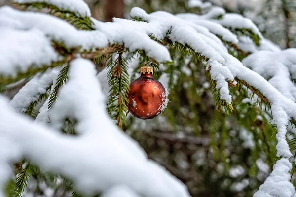 Kırmızı Noel Balosu Karla Kaplı — Stok fotoğraf