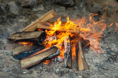 şömine ile lots-in ağaçları Barbekü için hazır.