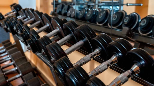 Rows of metal dumbbells on rack in the gym / sport club. Weight Training Equipment. - Image