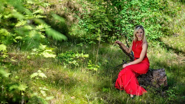 Красива Блондинка Червоній Довгій Сукні Сидить Пні Лісі Копіювати Простір — стокове фото