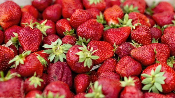 Frische Erdbeeren Auf Dem Markt Hintergrundkonzept Bild Stockbild