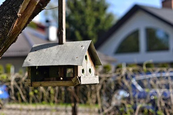 Handgefertigtes Vogelfutterhäuschen hängt an einem Baum im Hof - Bild — Stockfoto