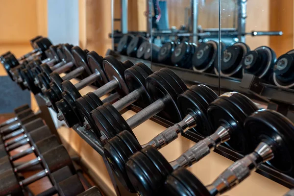 Metal halter salonunda raf üzerinde satırları / spor kulübü. Ağırlık terbiye ekipman. -Görüntü