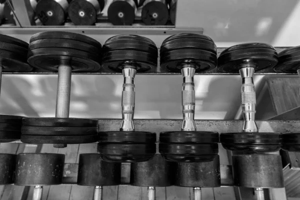 Rows of metal dumbbells on rack in the gym / sport club. Weight Training Equipment. - Image — Stock Photo, Image