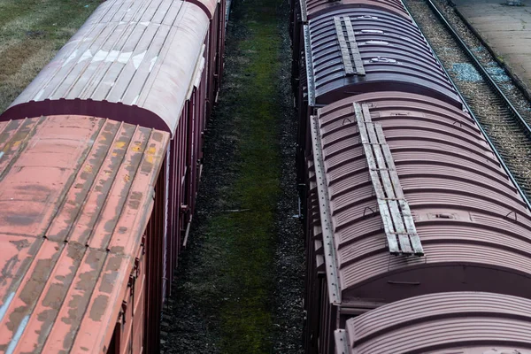 Вантажні поїзди на міському вантажному терміналі зображення — стокове фото