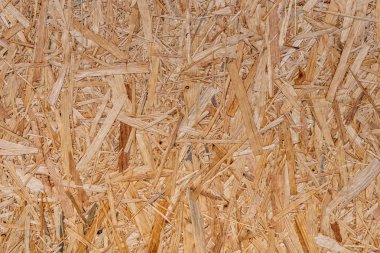 yakın yukarı baskılı ahşap panel arka plan, odaklı Strand kurulu Dikişsiz doku-OSB ahşap-görüntü