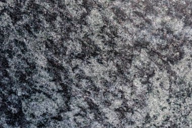 Gri granit Wal tevture-görüntü yakın