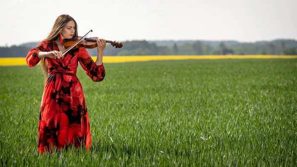 Mujer joven en vestido rojo tocando el violín en prado verde - imagen — Foto de Stock