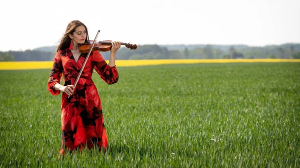 Mujer joven en vestido rojo tocando el violín en prado verde - imagen — Foto de Stock