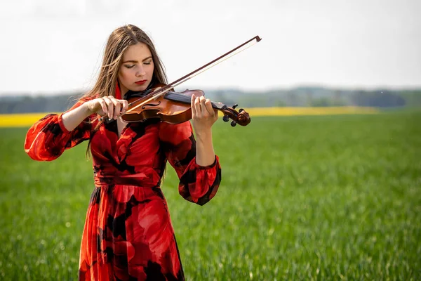Yeşil çayır keman oynarken kırmızı elbise genç kadın-görüntü — Stok fotoğraf