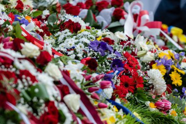 Düzensiz çeşitli renklerde çiçekler yer, çok renkli çiçek arka plan - görüntü