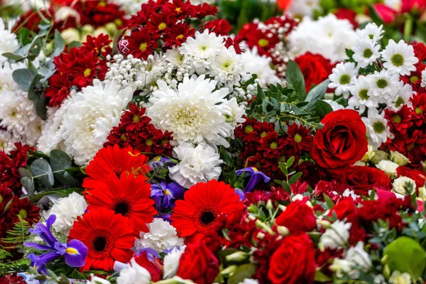 Flores colocadas irregularmente en varios colores, Fondo floral multicolor - Imagen — Foto de Stock