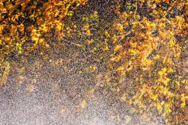 A água que flui da água da fonte salpicando no parque de outono. Contexto abstrato de gotas. Foco seletivo . — Fotografia de Stock