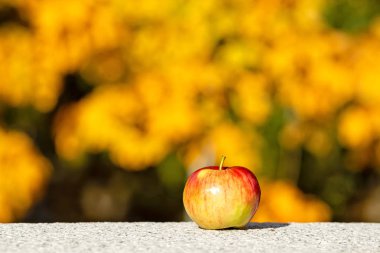 Granit kaldırımlarda güneşli bir günde gölgeli yalnız bir elma. Seçici odaklanma. Bulanık arkaplan.