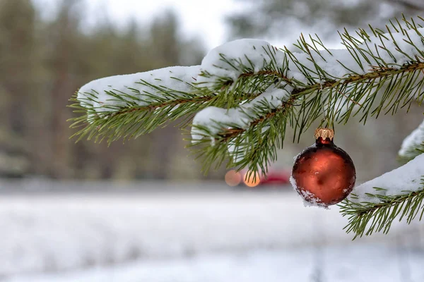 Bola de Natal vermelho na neve coberto Ramo do abeto ao lado da estrada . — Fotografia de Stock