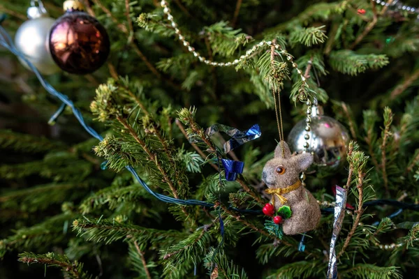 Varios coloridos adornos de Navidad colgado ramas de abeto . —  Fotos de Stock