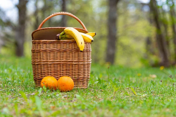 Panier Pique Nique Gros Plan Sur Fond Forêt Déconcentrée — Photo