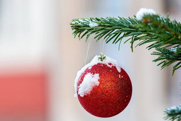 Decoraciones Coloridas Ramas Árboles Navidad Cubiertas Nieve Imagen —  Fotos de Stock