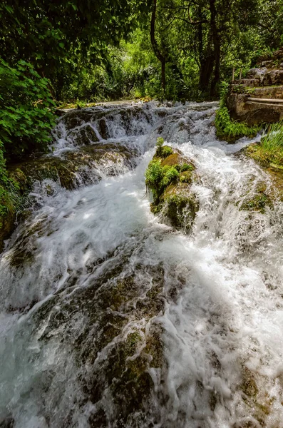Wooden Pathway Trough Dense Forest Krka National Park Waterfalls Croatia — Stock Photo, Image