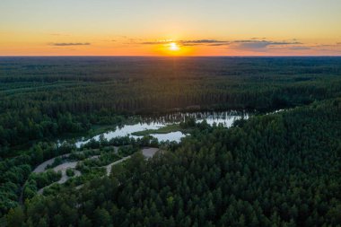 Orman ağaçları üzerinde renkli kırsal günbatımı, yaz akşamı manzarası