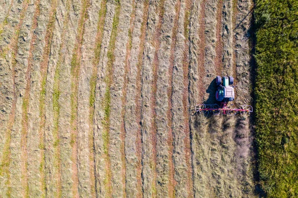 Top View Tractor Tedders Drying Mowed Hay — Stock Photo, Image