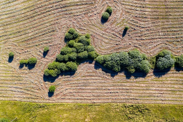 Pola Rolne Góry Dół Widok Lotu Ptaka Rolnictwo Rolnictwo — Zdjęcie stockowe